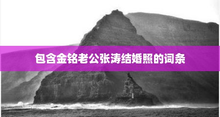 包含金铭老公张涛结婚照的词条
