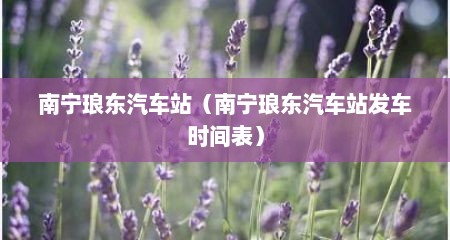 南宁琅东汽车站（南宁琅东汽车站发车时间表）