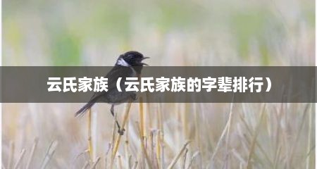 云氏家族（云氏家族的字辈排行）