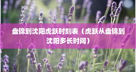 盘锦到沈阳虎跃时刻表（虎跃从盘锦到沈阳多长时间）
