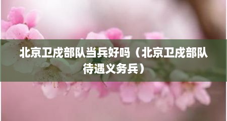 北京卫戍部队当兵好吗（北京卫戍部队待遇义务兵）