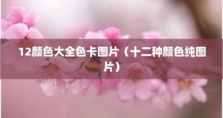 12颜色大全色卡图片（十二种颜色纯图片）