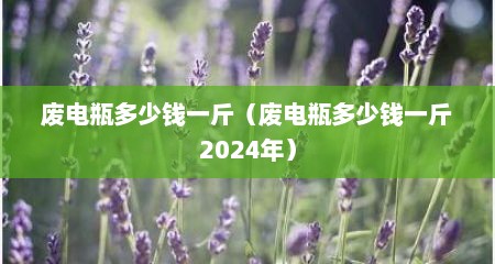 废电瓶多少钱一斤（废电瓶多少钱一斤2024年）