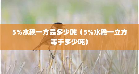 5%水稳一方是多少吨（5%水稳一立方等于多少吨）