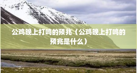 公鸡晚上打鸣的预兆（公鸡晚上打鸣的预兆是什么）
