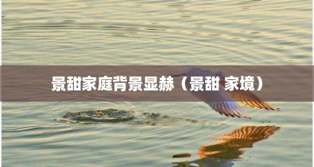 景甜家庭背景显赫（景甜 家境）