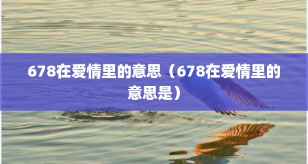 678在爱情里的意思（678在爱情里的意思是）