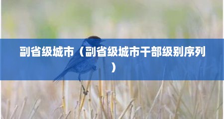 副省级城市（副省级城市干部级别序列）