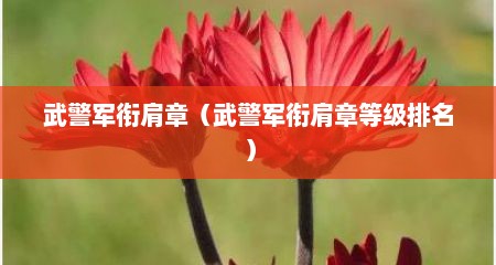 武警军衔肩章（武警军衔肩章等级排名）
