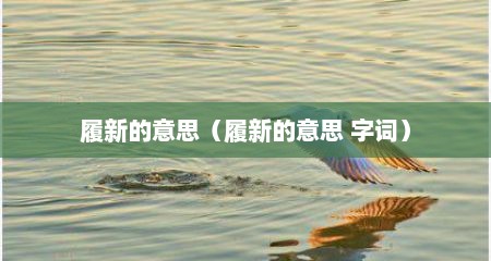 履新的意思（履新的意思 字词）