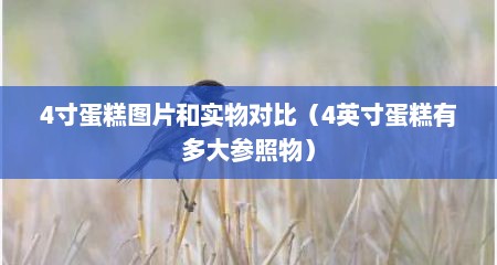 4寸蛋糕图片和实物对比（4英寸蛋糕有多大参照物）