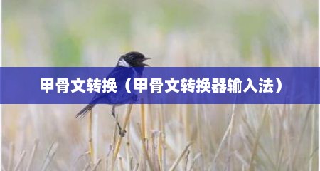 甲骨文转换（甲骨文转换器输入法）