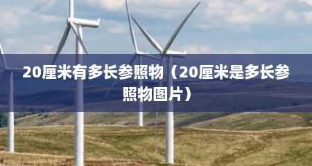 20厘米有多长参照物（20厘米是多长参照物图片）