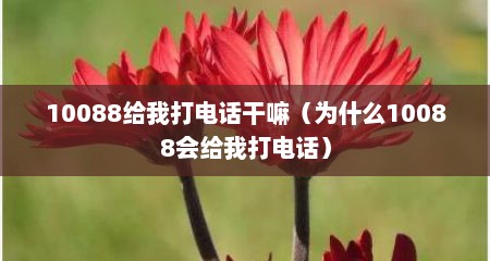10088给我打电话干嘛（为什么10088会给我打电话）