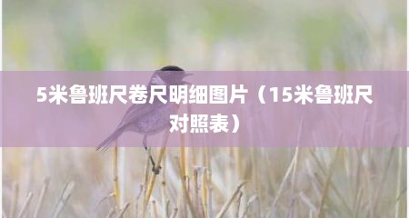 5米鲁班尺卷尺明细图片（15米鲁班尺对照表）