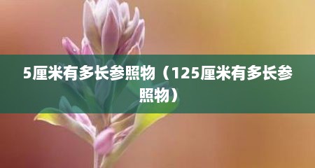 5厘米有多长参照物（125厘米有多长参照物）