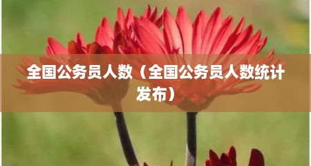 全国公务员人数（全国公务员人数统计发布）