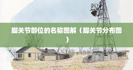 脚关节部位的名称图解（脚关节分布图）