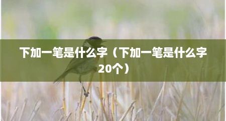 下加一笔是什么字（下加一笔是什么字20个）