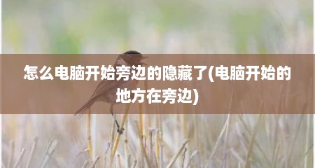 怎么电脑开始旁边的隐藏了(电脑开始的地方在旁边)