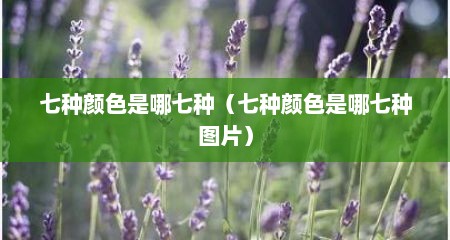 七种颜色是哪七种（七种颜色是哪七种图片）