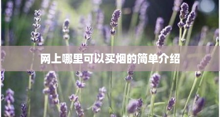 网上哪里可以买烟的简单介绍