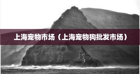 上海宠物市场（上海宠物狗批发市场）