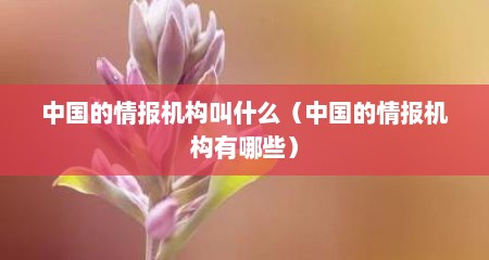 中国的情报机构叫什么（中国的情报机构有哪些）
