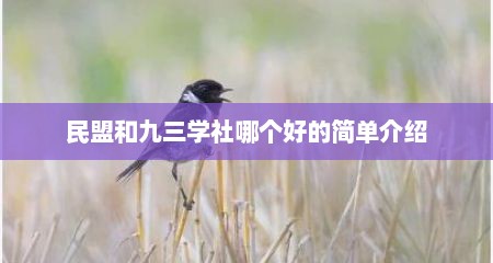 民盟和九三学社哪个好的简单介绍