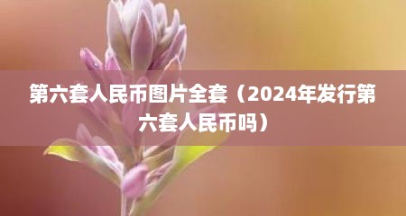 第六套人民币图片全套（2024年发行第六套人民币吗）