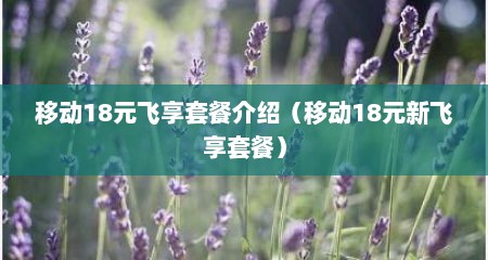 移动18元飞享套餐介绍（移动18元新飞享套餐）