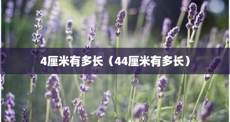 4厘米有多长（44厘米有多长）