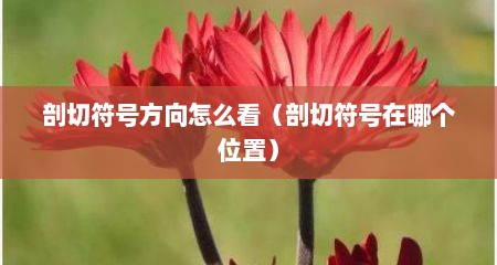 剖切符号方向怎么看（剖切符号在哪个位置）