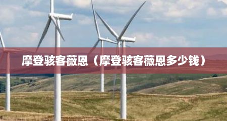摩登骇客薇恩（摩登骇客薇恩多少钱）