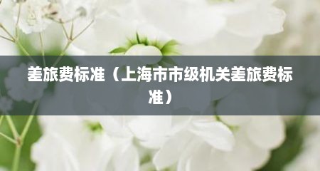 差旅费标准（上海市市级机关差旅费标准）