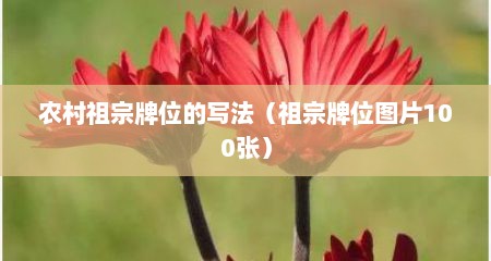 农村祖宗牌位的写法（祖宗牌位图片100张）