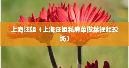 上海汪姐（上海汪姐私房菜做菜视频现场）