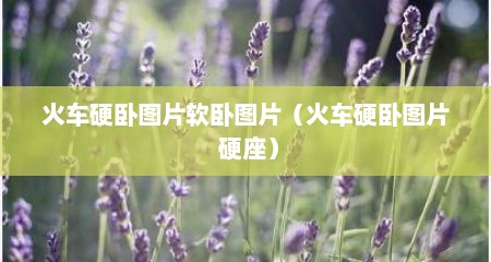 火车硬卧图片软卧图片（火车硬卧图片 硬座）