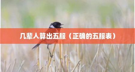 几辈人算出五服（正确的五服表）