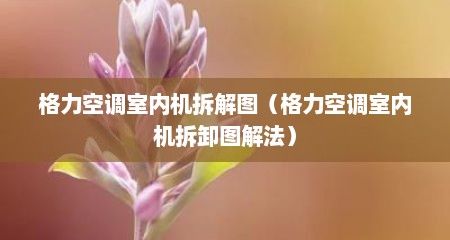 格力空调室内机拆解图（格力空调室内机拆卸图解法）
