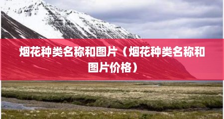烟花种类名称和图片（烟花种类名称和图片价格）
