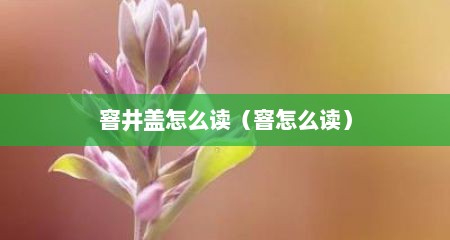 窨井盖怎么读（窨怎么读）