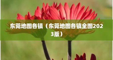 东莞地图各镇（东莞地图各镇全图2023版）