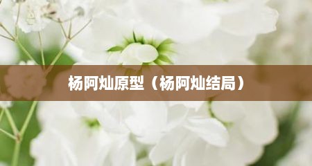 杨阿灿原型（杨阿灿结局）