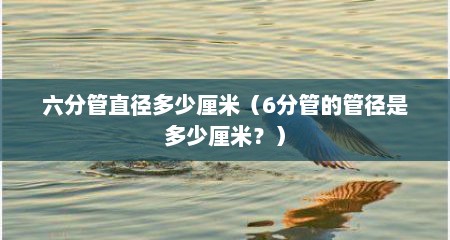 六分管直径多少厘米（6分管的管径是多少厘米？）