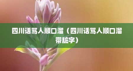 四川话骂人顺口溜（四川话骂人顺口溜带脏字）