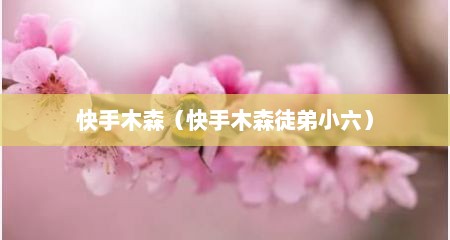 快手木森（快手木森徒弟小六）