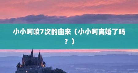 小小呵喷7次的由来（小小呵离婚了吗？）