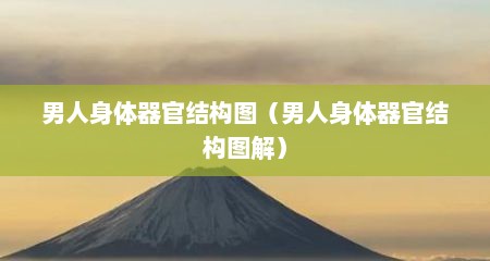 男人身体器官结构图（男人身体器官结构图解）