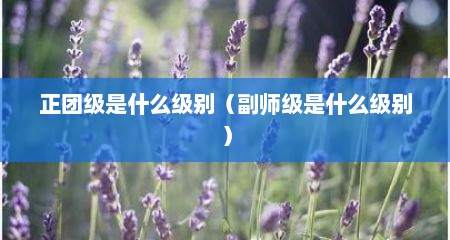 正团级是什么级别（副师级是什么级别）